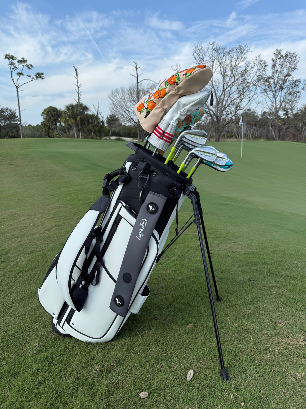 Magnetic Golf Bag Accessory Holder